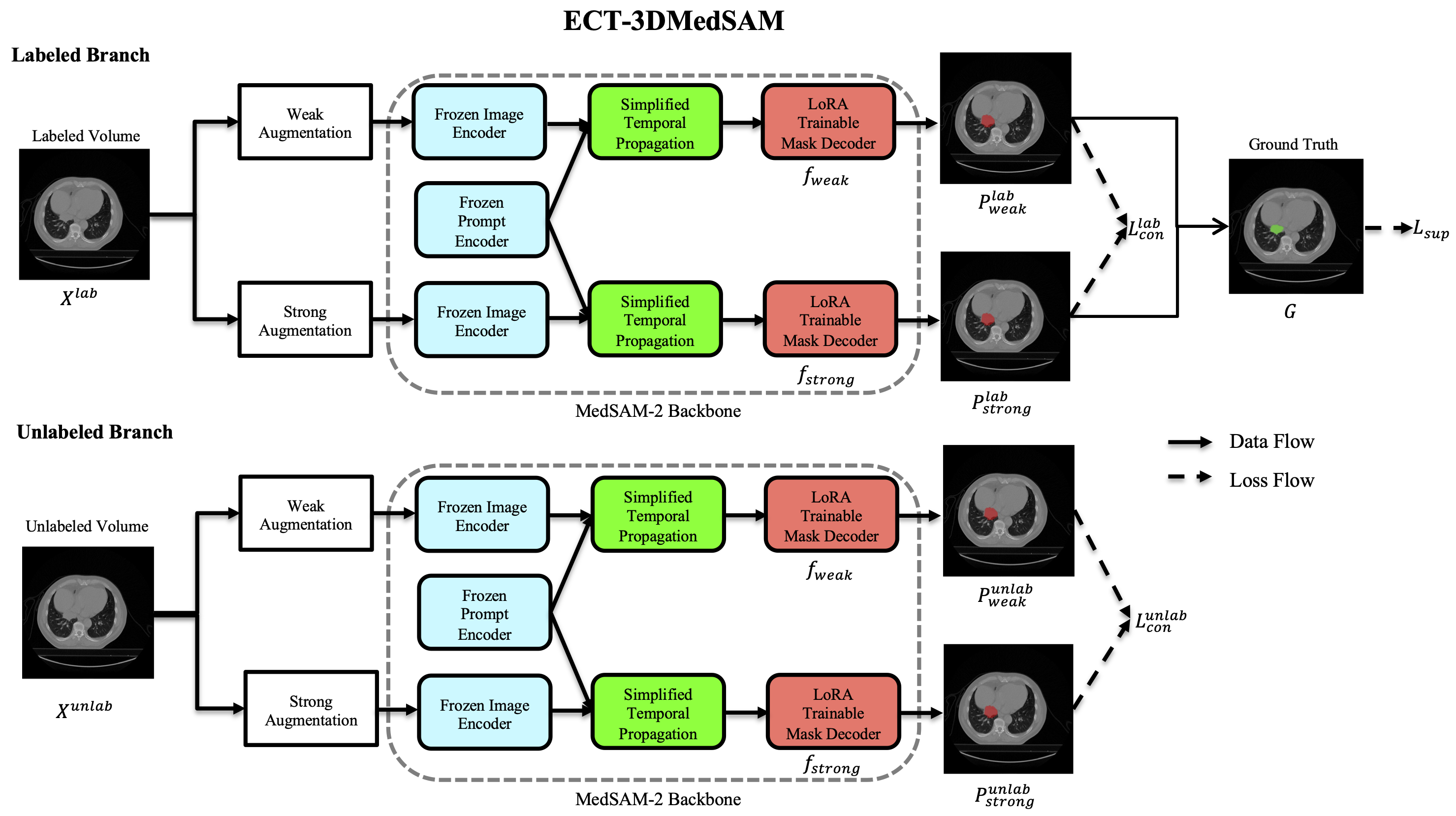 ECT-3DMedSAM: Efficient Cross Teaching Using Segment Anything Model for Semi-Supervised 3D Medical Image Segmentation